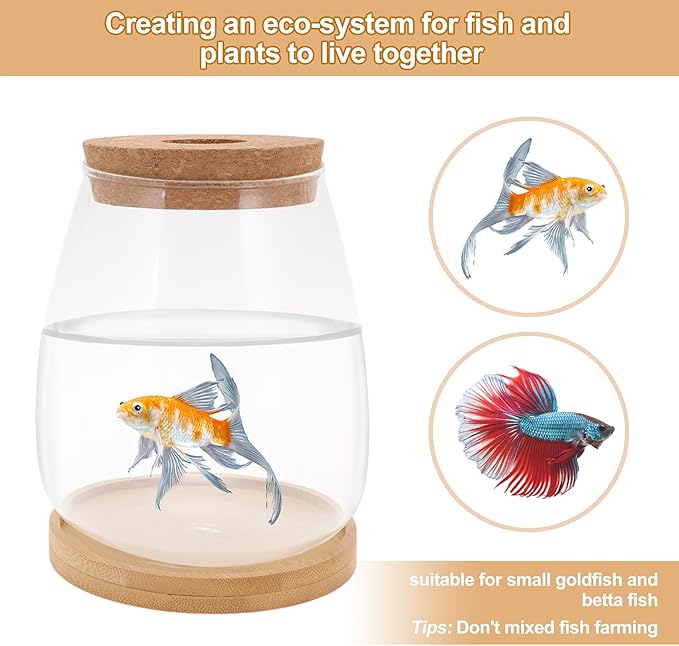Fish Tank Desktop Hydroponic Propagation, Fish Bowl Indoor Aquatic Garden Set for Home, Office, or Dorm Decor, 3.35"x5.71", Clear, 1 Set