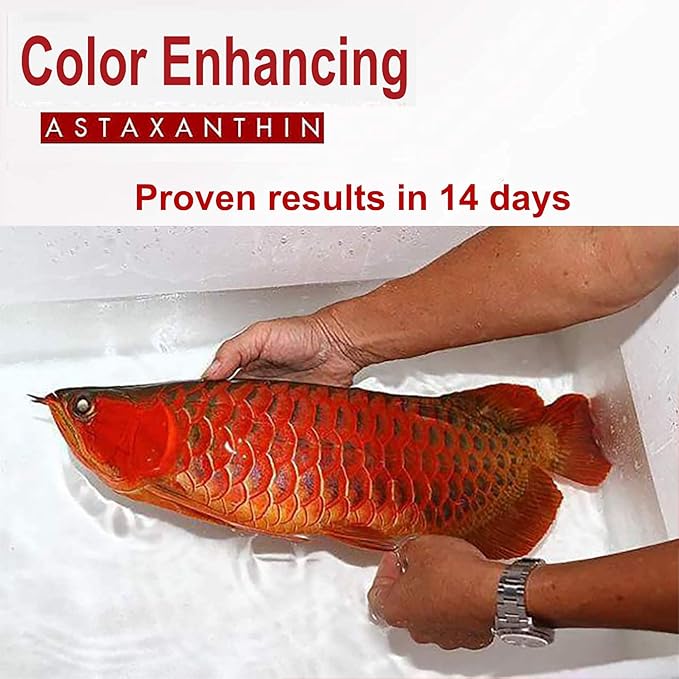 HULX Astaxanthin Red Color Enhancing Powder All Type Fishes Tropical Fish Goldfish KOI Baby Fry Fish Guppy Betta Small Fish Use Mix Fish Food Granular Flake Sinking Floating Pellets 0.06 Lb. (30 g.)