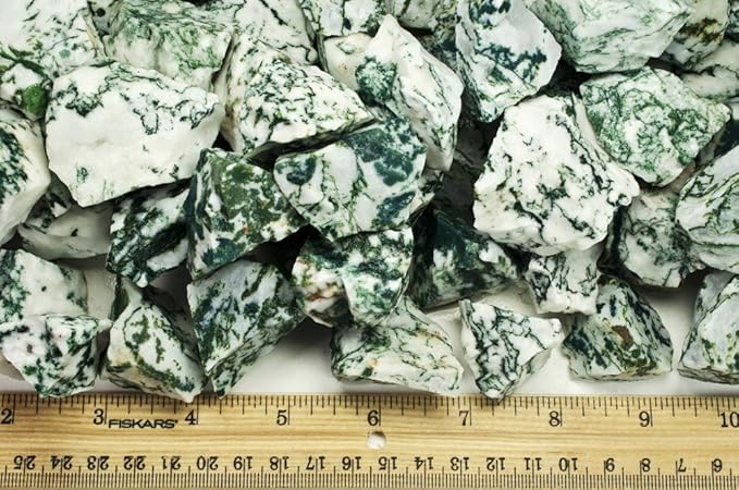 Fantasia Materials: 3 lbs Tree Agate Rough Stones from India