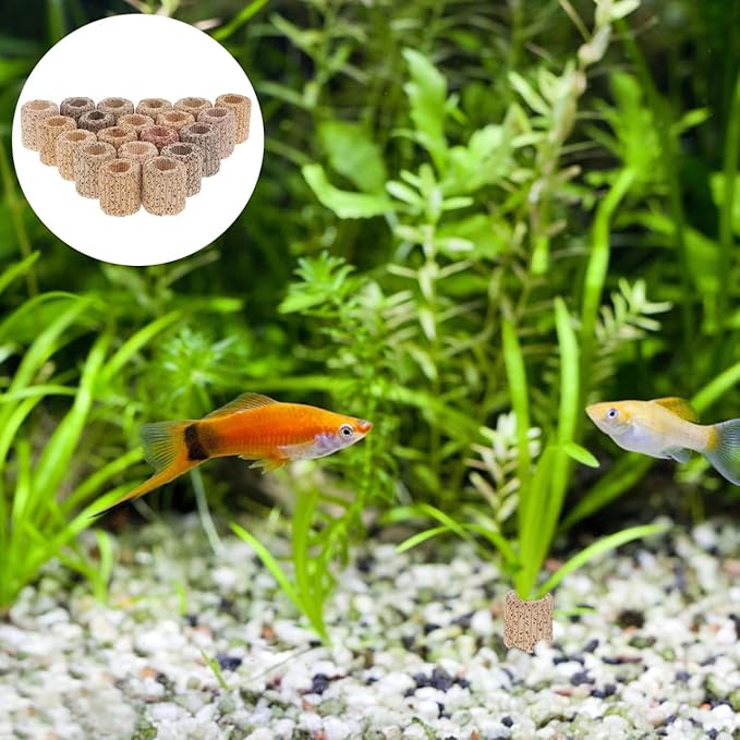 VANZACK 20Pcs Ceramic Water Plant Fixed Rings - Aquarium Anchor for Fish Tank Decor, Aquatic Plant Holder, Easy Installation