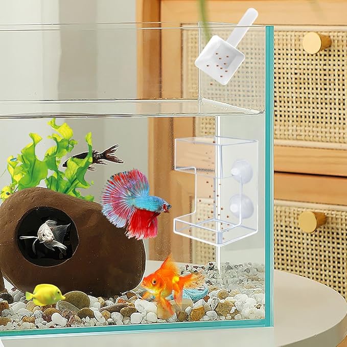 Acrylic Betta Fish Feeder for Aquarium, Square Feeding Ring Suction Cup with 1 Spoon, Transparent Aquarium Bird Shrimp Feeder (Square)