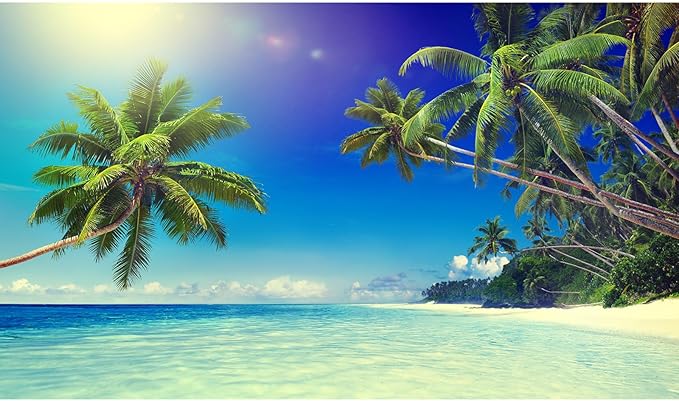 Tropical Paradise Beach Fish Tank Background Ocean Island Seashore Aquarium Background Sandbeach Seascape Terrarium Backgrounds Blue Sky Seacoast Ocean Sea Waves Reptile Tank Backgrounds 72x16in
