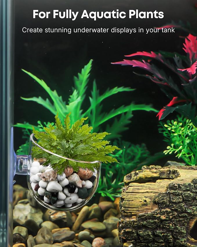 Pawfly Aquarium Plant Holder for Fish Tanks, Clear Plastic Fish Tank Plant Holder, Aquarium Planter Cup with Suction Cup, Fish Tank Plant Pot for Aquascape Decoration, Red Worm Fish Feeder