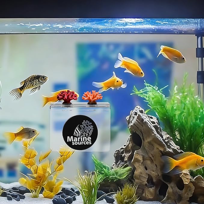 Balacoo Magnetic Coral Frag Holder, 4 Holes Acrylic Aquarium Coral Frag Rack with Strong Magnetic Suction Cup for Fish Tank Aquarium Plant Holder
