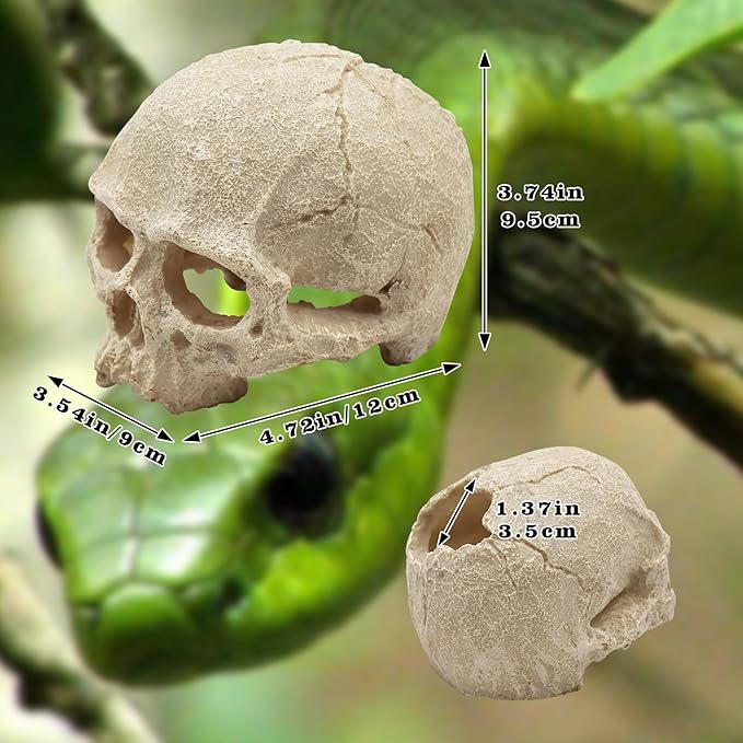 Snake Hideout, Reptile Aquarium Skull Decor, Resin Skeleton Head Fish Hide, Tank Terrarium Accessories, Reptile Hides and Caves for Fish Bearded Dragon Ball Python Leopard Gecko 4.7 × 3.5 × 3.7 Inch