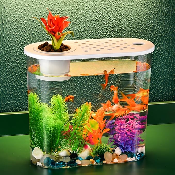 Small Fish Tank 2 Gallon, Desktop Mini Fish Tank, Starter Kits Betta Fish Tank with Decor Stones and Water Grass Decorations for Home or Office