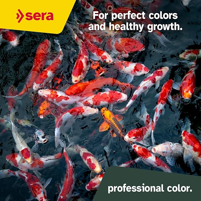 Sera Koi Professional Color 15.43lb | Spirulina & Haematococcus Algae for Vibrant Colors and Ideal Growth | Co-Extrusion Technology for Optimal Health | Floats for Year-Round Feeding Above 46°F