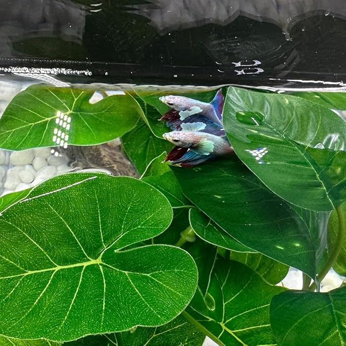 Fish Tank Decor Aquarium Decorations Ornaments Betta Leaf pad Hammock 6inch Plastic Artificial Plant Goldfish Fish Hides Small Tank/Reptiles Plants Driftwood (Green-Type-A)