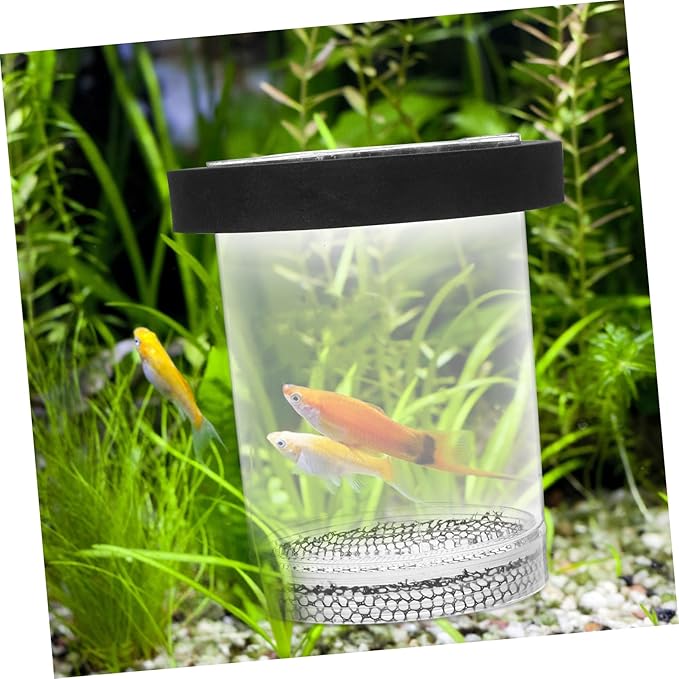 Ipetboom Box Pot Fish Breeding Cage Aquarium Hatchery Tank Hatchery Incubators Breeding Cage for Guppy Betta Fish Tank Floating Fish Tank Hatching Incubator Sink Small Fish