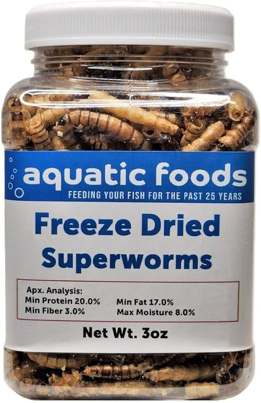 Superworms- Freeze Dried Superworms for Tropical Fish, Reptiles, Turtles, Tortoises, Frogs, Hamsters, Birds, Rodents…3oz Small Jar