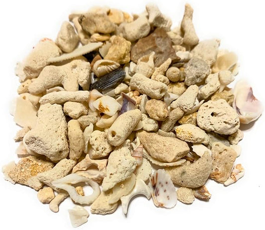 Middle Keys Marine Life LLC Florida Keys Crushed Coral Aquarium Gravel 2.5 LB (~70 in3) for Aquariums, Terrariums, Vases, Landscaping, Bonsai, School Projects, Shell ID, Bio-Filtration