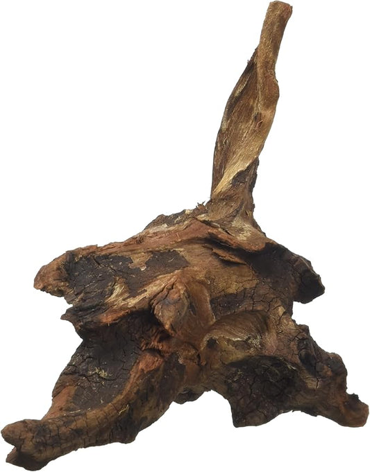 Amtra Mystic Wood, 15-20 cm