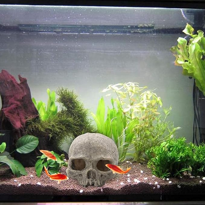 Tfwadmx Aquarium Skull Decor, Resin Fish Tank Decorations Aquarium Shrimp Cave Betta Fish Hiedout Reptile House for Small Fish,Shrimp