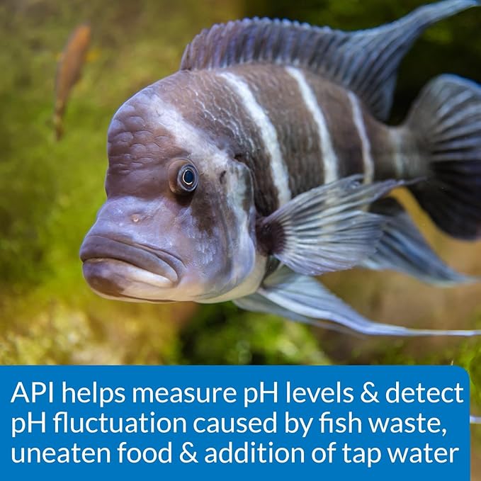 Api High Range Ph Test Kit For Fresh & Saltwater