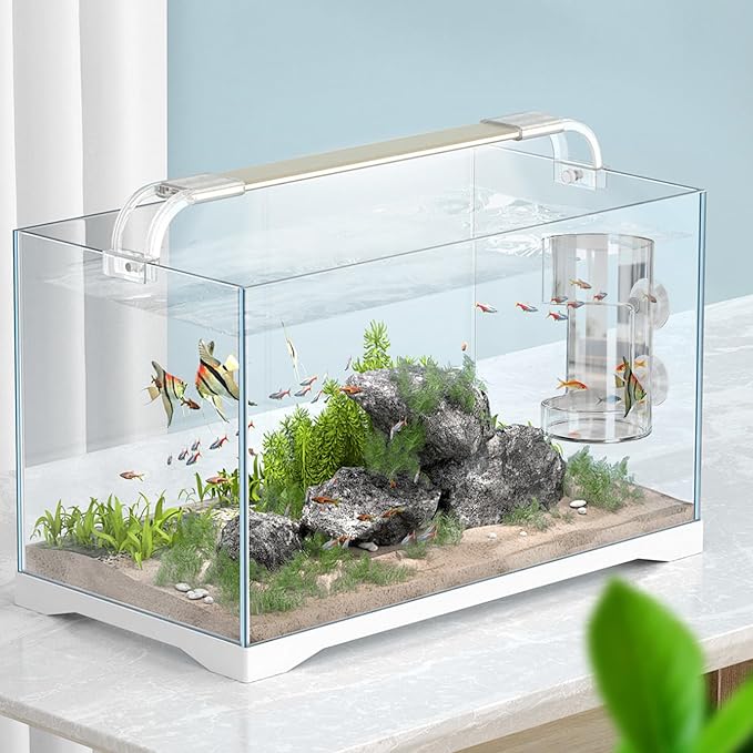 No Mess Aquarium Feeder, Acrylic Clear Fish Tank Feeder with Suction Cup, Preventing Food Scattering Feeding Tray Hollow Floating Sinking Shrimp Food Holders (Square,1)