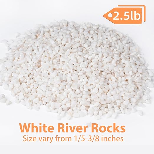 Pulovin 2.5 lbs White Aquarium Gravel, 1/5 Inch White Rocks for Plants, Small Pebbles for Vases, Succulents, Bamboo, Natural Decorative Pebbles for Plants Drainage, Cactus, Crafts