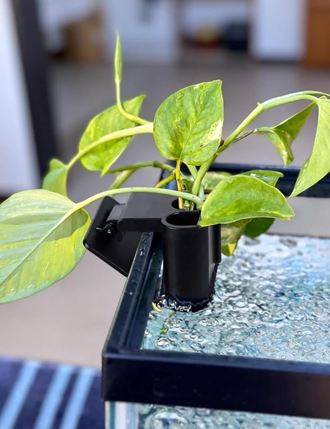 sogiv 3 Holes Aquatic Plant Cups, Hanging Aquarium Plant Holder, for Fish Tank Plants Potting, Aquascape Accessories Decorations, Black, 2 Pcs