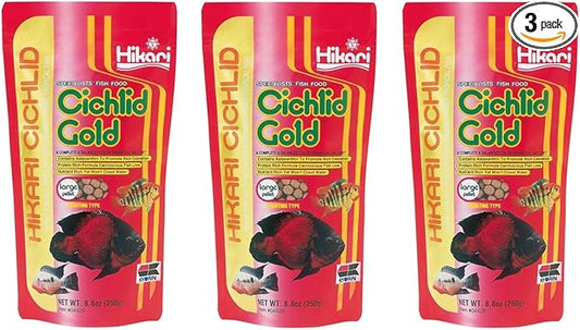 (3 Pack) Hikari Cichlid Gold Floating Pellets Large, 8.8-Ounce