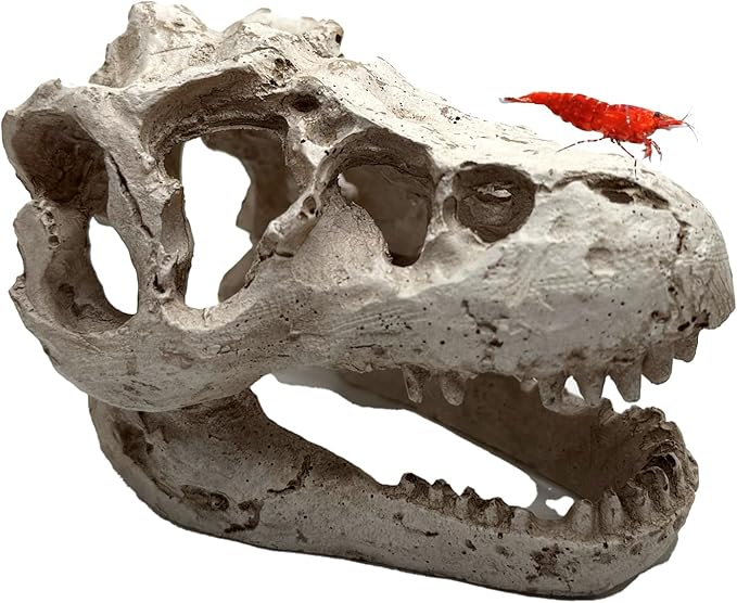 Mini T-Rex Skull Aquarium & Reptile Tank Decor – Dinosaur Fossil Hideout for Fish, Geckos, Hermit Crabs, and Terrariums – Small Resin Jurassic Decoration for Aquascape, Vivarium, or Pet Habitat