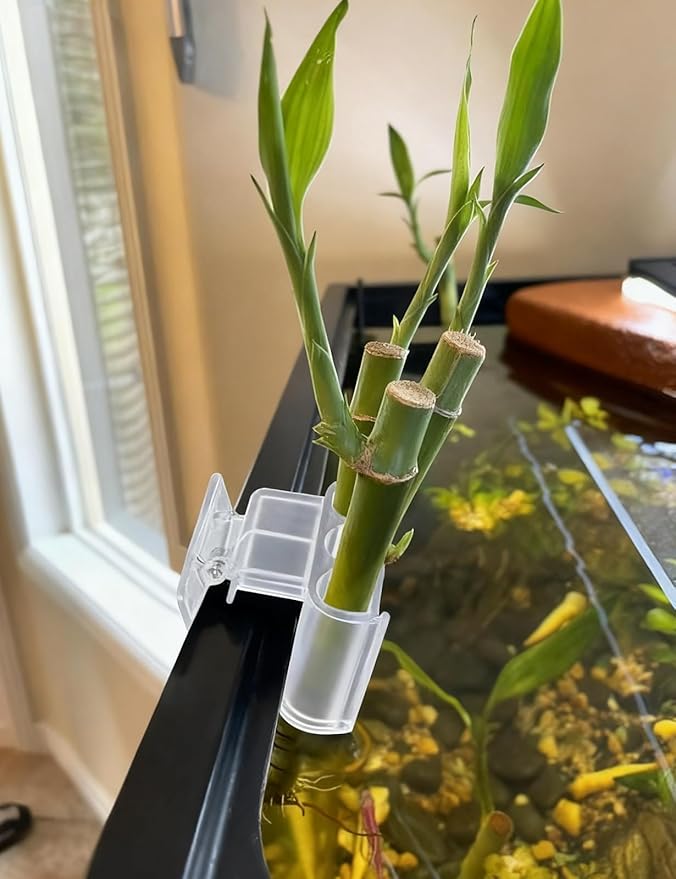 sogiv 3 Holes Aquatic Plant Cups, Hanging Aquarium Plant Holder for Fish Tank Plants Potting, Aquascape Accessories Decorations, Clear, 2 Pcs
