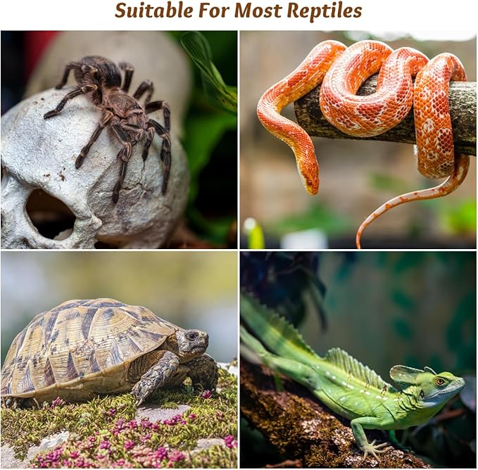 Mikikit 6Pcs Reptile Feeding Tank Buckles Turtle Terrarium Lid Locks Secure Latches for Amphibious Rainforest Turtle Tanks Easy Install Durable Plastic 1.96X1.18X0.98In