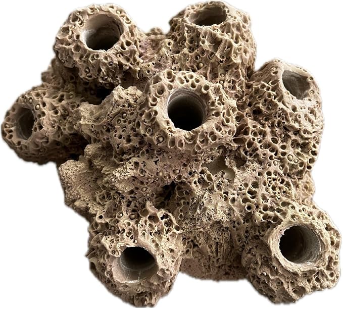 7 Hole Barnacle Cave frag Rock sandbed Base for Live Coral frag Plugs for Reef Aquariums (Tan)
