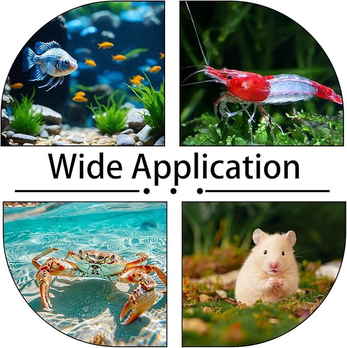 2 Pcs Shrimp Feeding Dish, Aquarium Feeding Dish, Fish Tank Feeder Dishes, Clear Aquarium Shrimp Feeders Bowl Freshwater Tray Feeder, 60mm/80mm