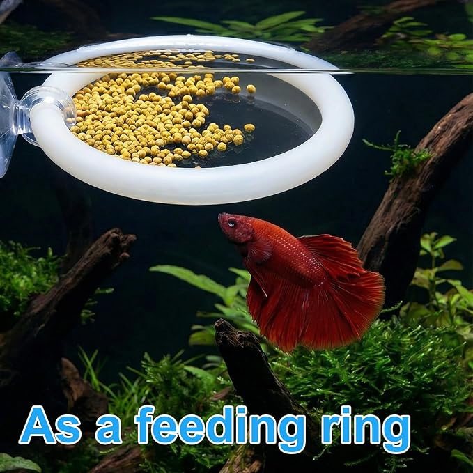 Xthrotsenk 2 Pcs Betta Enrichment Toys Beta Fish Toys for Tank Beta Exercise Ring Floating Mirror Set Fish Feeding Ring Bettas Tank Accessories for Aquarium