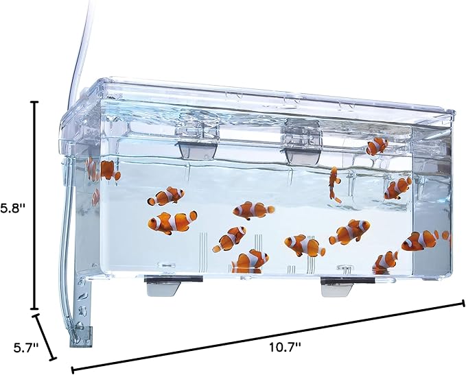 Fluval Multi-Chamber Holding and Breeding Box, Large – Up To 3 Separate Housing Compartments