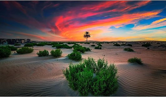 Sunrise Desert Reptile Tank Background Beautiful Sunset Desert Green Plants Terrarium Background Sand Peaks Dunes Desert Landscape Reptile Habitat Background Sunset Desert Aquarium Background 48x20in