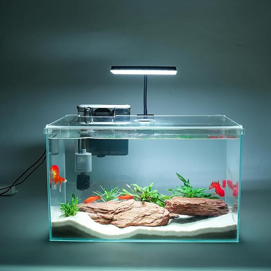Vimvins 10 Gallon Glass Small Fish Tank with Filter Light and Lid, Aquarium Starter Kit