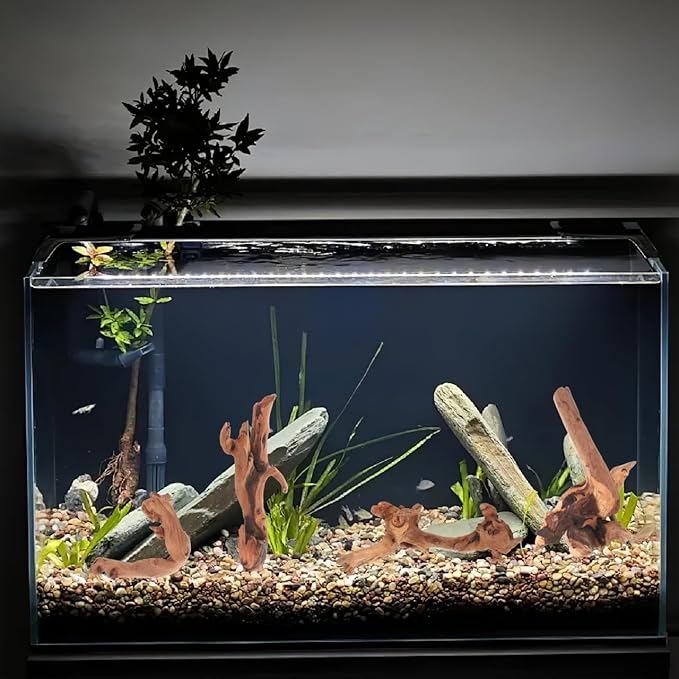 Toddmomy Aquarium Driftwood 4Pc Set 7.48In Natural Fish Tank Wood Decor for Freshwater Aquascaping Fish Cave and Hiding Spots