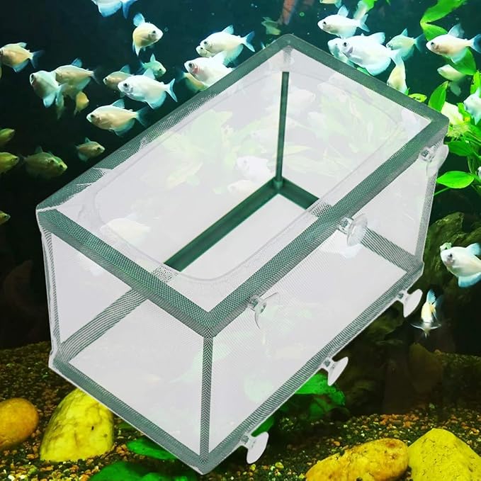 Xiaoyztan Breeder Box for Fish Tank,Aquarium Breeder Box Plastic Frame Baby Fish Tank Separation Breeding Aquarium Spawn Hatchery Isolation with Suction Cups,Pack of 1