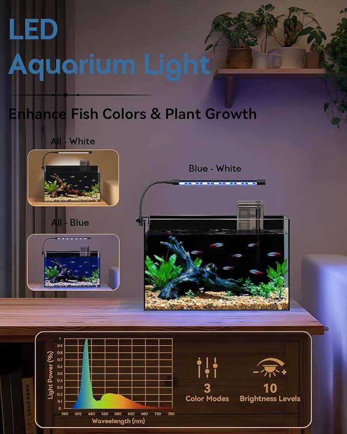 Glass Fish Tank Kit, 5 Gallon Betta Fish Tank Aquarium Starter Kit with Filter, Lights, Lid, for Betta, Goldfish, Small Fish or shrimg