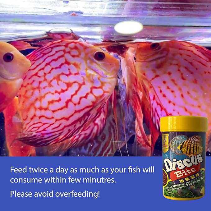 Discus Fish Bits Food (1.5 Oz), Balanced Diet, Support Health, Floating Fish Food, Discus Fish Food, Bits for Discus, Discus & Tropical Fish