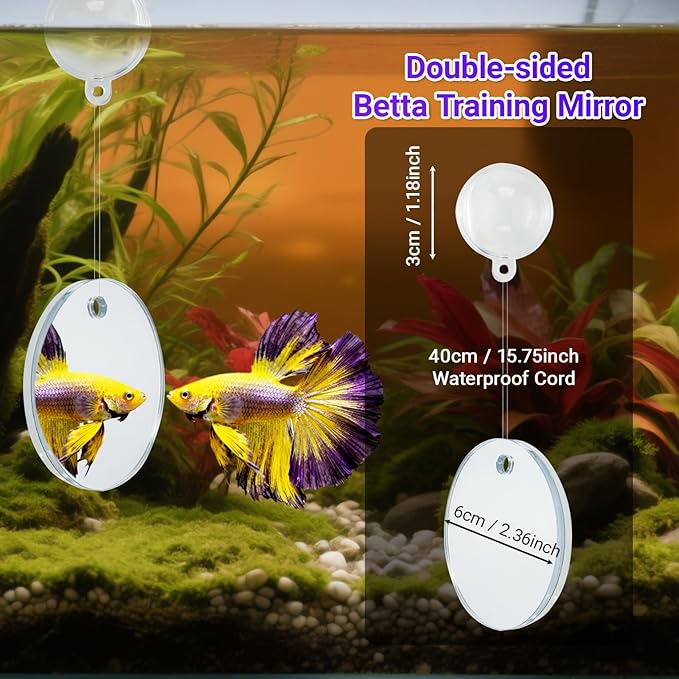 Betta Fish Toy Set,Betta Training Floating Mirror, Training/Feeding Ring, Spoon, and Resting Leaf. Promotes Exercise. Betta Toys, Resting & Feeding Kit