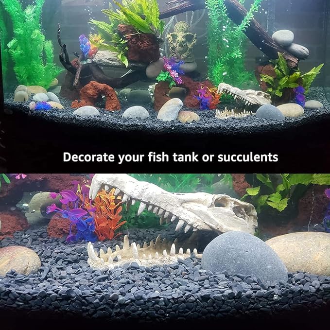 Avalution3 6-9 mm Natural Black Gravel 3LB, Polished Stone Succulent Plant Bonsai Stone DIY Plant Rock for Garden Outdoor & Indoor Vase Gravel Aquarium Fish Tank Fairy Gardening Filling Decoration