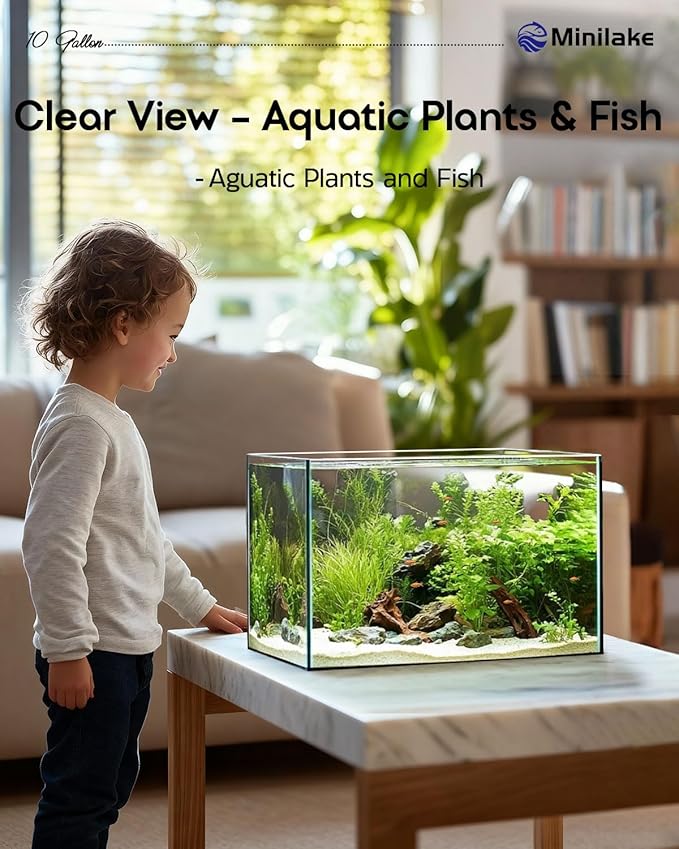 10 Gallon Ultra Clear Rimless Glass Fish Tank, Easy to Maintain Small Aquarium for Betta, Goldfish, Shrimp, Snails and Aquatic Plants