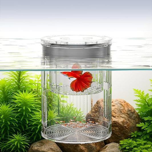 Floating Acrylic Breeder Box for Fish Tank - Aquarium Isolation Separator Hatchery Incubator for Guppy, Betta, Clownfish, Coral, Baby & Injured Fish