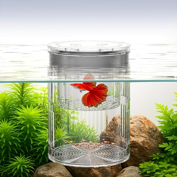 Floating Acrylic Breeder Box for Fish Tank - Aquarium Isolation Separator Hatchery Incubator for Guppy, Betta, Clownfish, Coral, Baby & Injured Fish