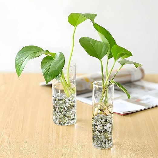 Pulovin 5LB Succulent and Cactus Pebbles, 1/5 Inch Jade Pebbles for Indoor Plants, Decorative Gravel for Vases, Bamboo, Succulent, Terrarium, Crafts, Cactus