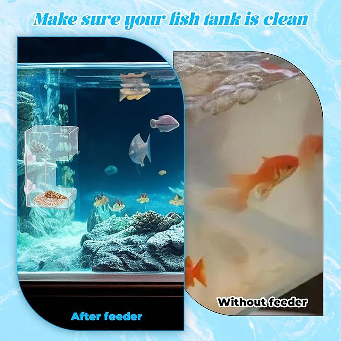Fish Tank Feeding Tray Fish Tank Feeder Tray Aquarium Feeding Dish with Suction Cup 3.9x2.4 Inch Feeding-Tube Ring Container Holder Dispenser for Shrimp Turtle