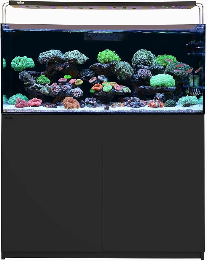 LANDEN Wooden Storage Cabinet with Modern Accent Design, Multi-Purpose Furniture for Living Room and Home Décor, Works as Aquarium Stand for up to 44 Gal Tanks, Matte Black, W35.5xD17.7xH31.5 in