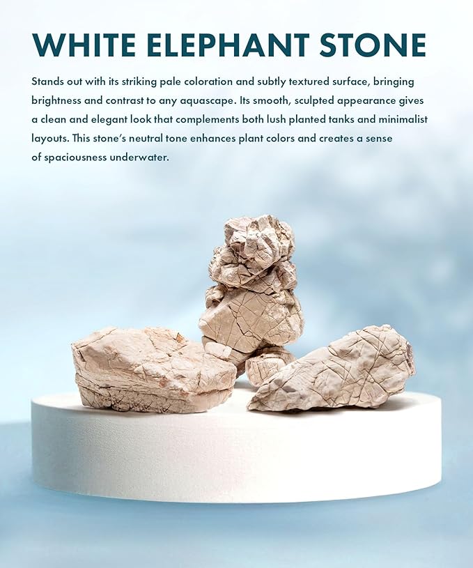 SubstrateSource Natural Aquarium Stones - Off-White Textured with Grooves Decorative Aquascaping Rocks for Betta Fish Tank, Goldfish, Cichlids, Hermit Crab & Terrariums - White Elephant Skin, 30 LB