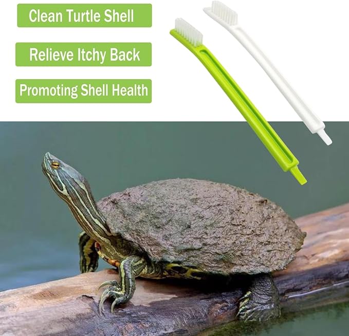 4Pcs Turtle Tortoise Cleaning Brush Remove Aquatic Mud Dirt & Contaminants from Tortoises Shells & Promoting Shell Health Turtle Tank Accessories Aquarium Cleaning Tools Kit (4 Pcs)