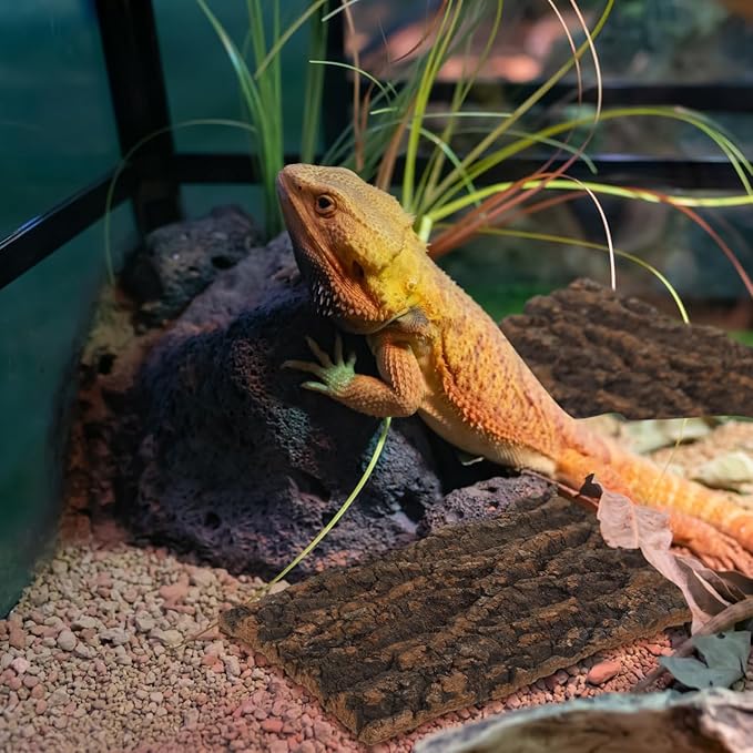 POPETPOP 3 Pcs Natural Bark Aquarium Decor 7.87X4.13X0.59In Reptile Tank Background for Terrarium Gecko Tortoise Snake Habitat Wall Ornament