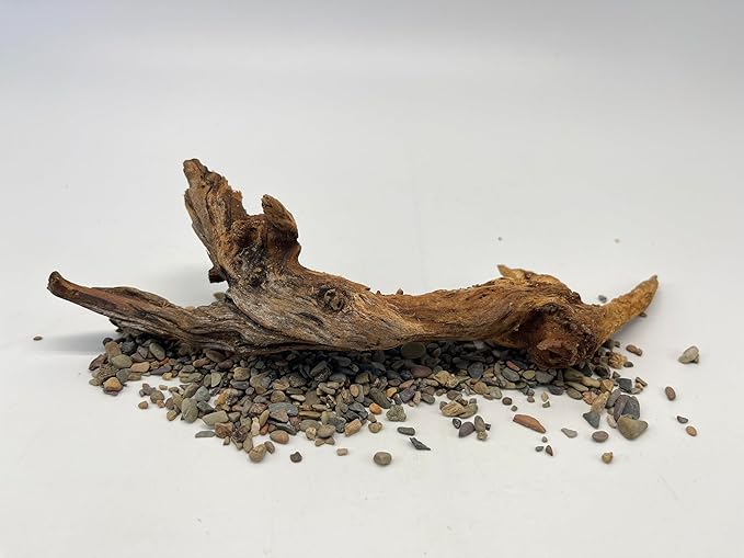 X-Small Driftwood (4.5-7 in) Assorted Natural Aquarium Decoration (5 Pieces)