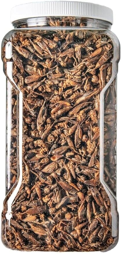 Crickets - Freeze Dried Crickets for Tropical Fish, Reptiles, Turtles, Tortoises Frogs, Hamsters, Birds, Rodents…2oz Small Jar