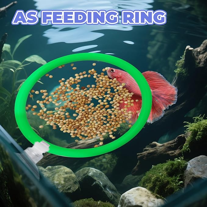 Beta Fish Aquariums Accessories, 1 Fish Mirror with Floating Ball & 2 Exercise Training Ring Toys, Fish Feeding Ring, Betta Fish Toys Set for Tank, Enrichment Toys for Fish