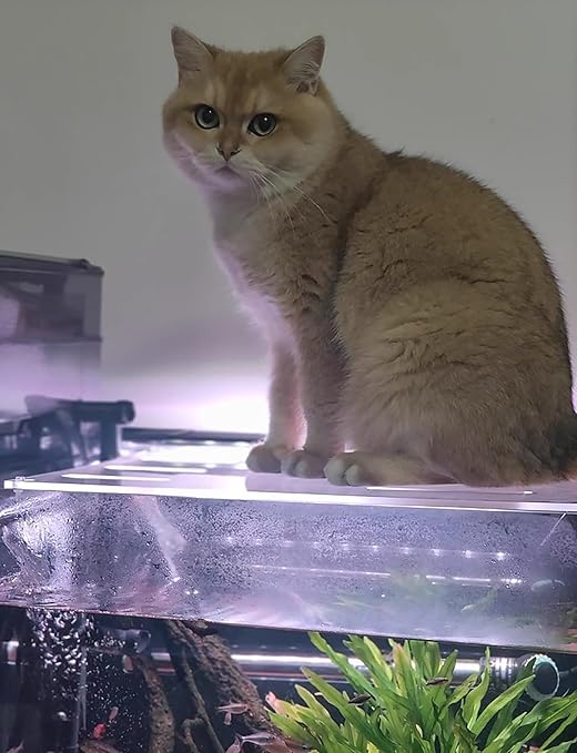 5mm Acrylic Aquarium Cover - Non-Jump Fish Tank Lid for Turtle, Arowana - Blocks Cats & Debris(15.7x9.1in/40x23cm)